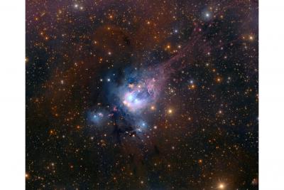 ستاره های جوان در  NGC 7129