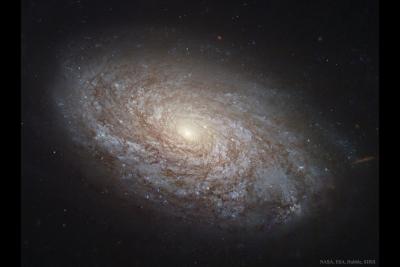 کهکشان مارپیچی کرکی NGC 4414