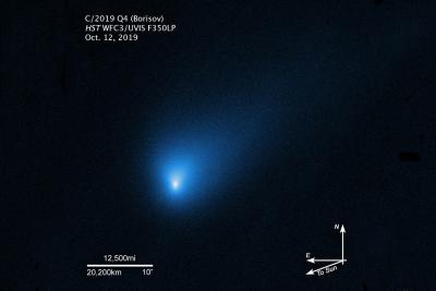 اولین تصویر هابل از دنباله دار 2l/Borisov منتشر شد.