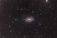 کهکشان گل آفتابگردان یا M63