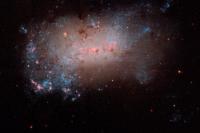 نمای نزدیک از یک کهکشان کوچک NGC 4449
